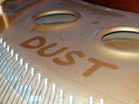 Dust = Moisture = Corrosion = Premature Wear = $3,000 String Replacement